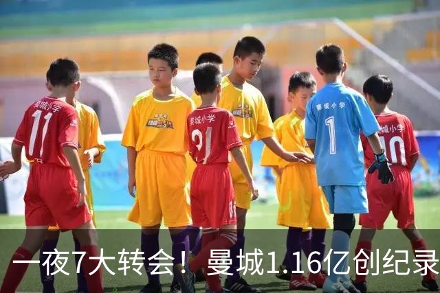 一夜7大转会！曼城1.16亿创纪录，渣叔接手德国队，英超意甲西甲全线大洗牌