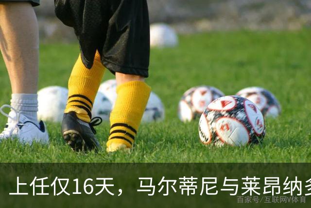 上任仅16天，马尔蒂尼与莱昂纳多辞去意大利足协职务