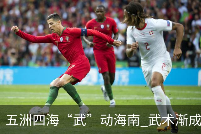 五洲四海“武”动海南 武术渐成世界语言