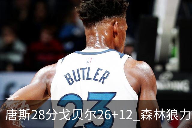 唐斯28分戈贝尔26+12 森林狼力克黄蜂4连胜