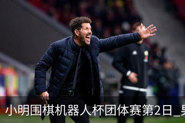 小明围棋机器人杯团体赛第2日 男子乙组北京上海领跑