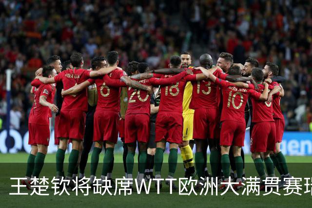 王楚钦将缺席WTT欧洲大满贯赛瑞典站
